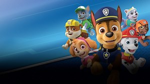 PAW Patrol: On a Roll (PS4)