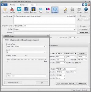 Review avs video converter