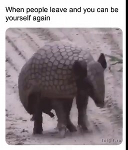 31K views · 842 reactions | Science & Metaphysics on Reels | Facebook