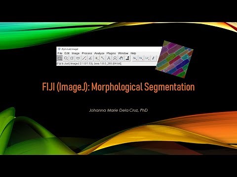 FIJI (ImageJ): Morphological Segmentation
