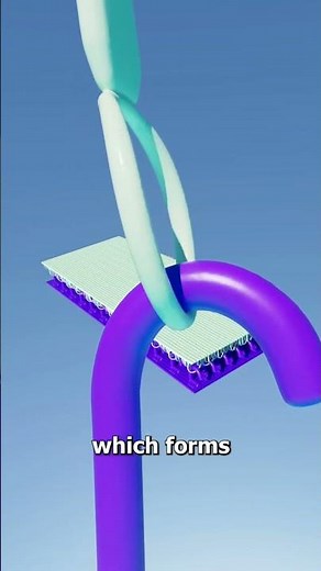 How Velcro Works 🤨