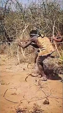 Dois Leopardos e Uma Gazela na Selva Africana 🐆