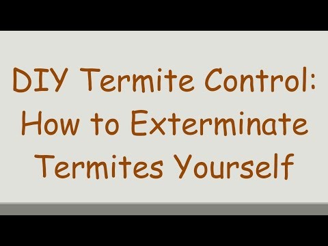 DIY Termite Control: How to Exterminate Termites Yourself