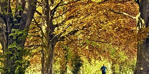 Rave Run: Itchen Way, Hampshire