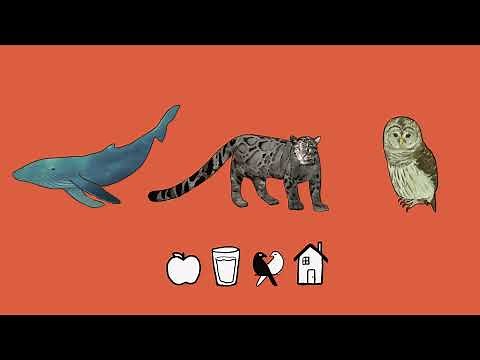 Explore Animal Adaptations | Smithsonian Video for Kids