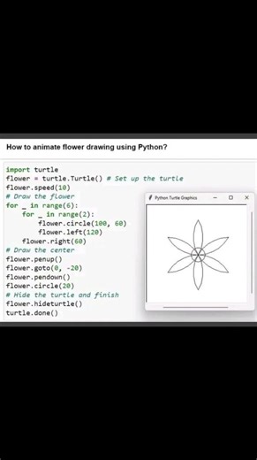 python flower turtle animation with source code ‪@CodeWithHarry‬