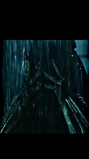 Depredador - Favorito wolf predator gif