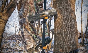 Best Climbing Sticks for Getting into Tree Stands • Advanced Hunter