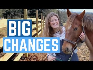 DIY Wooden Horse Fence Installation