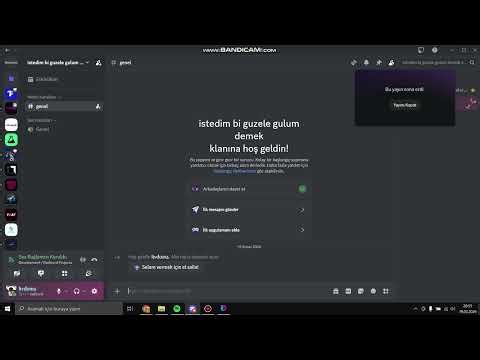 Discord Auto Responder Self Bot #radicord