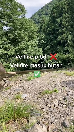 Exploring Off-Road Adventures in Forested Areas