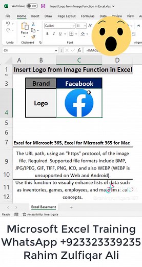 How to Insert Logos Using Excel Functions