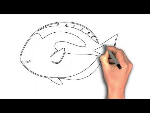 How to draw Dory Fish Line Drawing