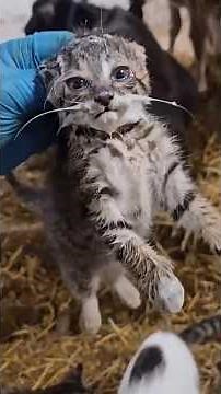 He Turns Wild The Second I Blink 😂