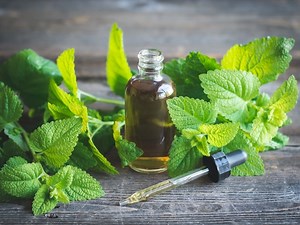 How to Make Lemon Balm Tincture