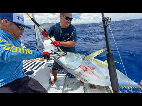 Trolling for Ahi Tips - Tuna Tactics - Big Yellow-fin Tuna