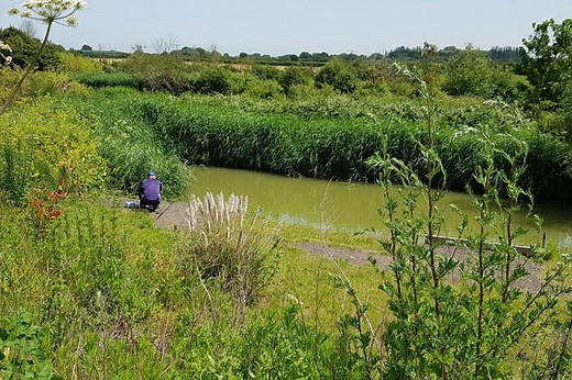 Betcio - Güncel Giriş | Betcio Mobil Erişim | 2025 Link