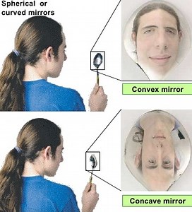 Uses of the concave mirror and the convex mirror in our daily life | Science online