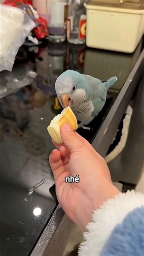 My sister is handing out bread to her beloved children #shorts