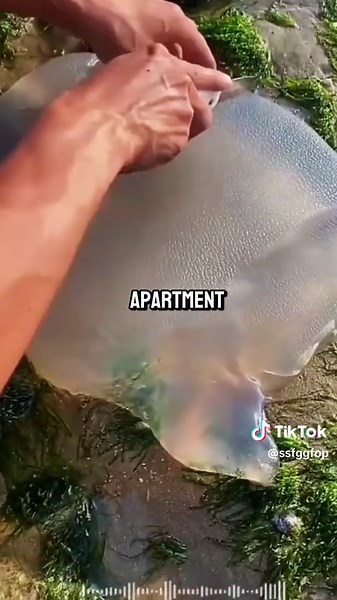 Brooke and Jubal's Second Date Update: Jeep Stories