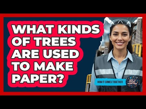 What Kinds Of Trees Are Used To Make Paper?
