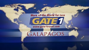 Ever wondered what's in store on an Ecuador & Galapagos tour with Gate 1? Find out now! | Gate 1 Travel