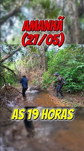 NÃO PERCA, AMANHÃ! #javalibrasil #caçadejavali #hunter #hunting #wildboar #caçador #javali #cães