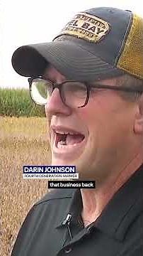 Trade wars cost billions at soybean harvest season