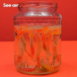The science behind making dancing worms. | Seeker by The Verge