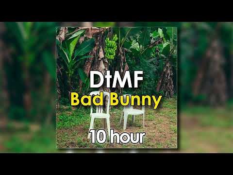 DtMF - Bad Bunny (10 Hour Loop)