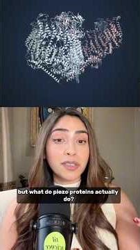 Scientists Found Our Actual Sixth Sense