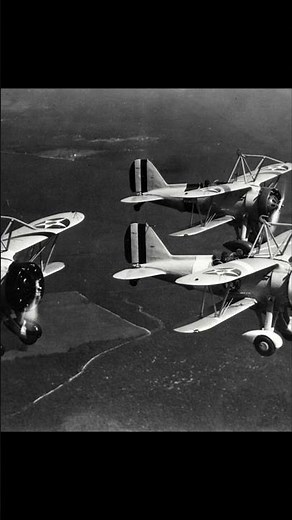 Men on the Flying Trapeze - The Curtiss F9C Sparrowhawk #aviationhistory ww2aircraft #usnavy