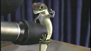 1999 Geico Gecko Commercial