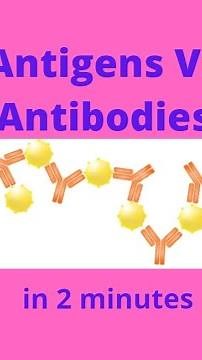 Antigens vs Antibodies in under 2 mins!
