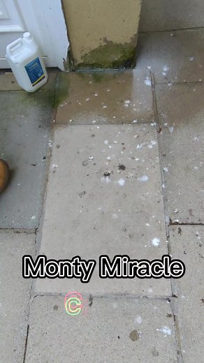 A quick and easy way of removing bird droppings from your paths and drives, general bed droppings are bad enough but when the berries are out the birds eat them and the bird droppings leave horrible standing reds and all sorts of colors. Now we have a quick way of removing algae, bird droppings, winter foliage, deterioration and generally cleaning your paths and drives. Monty Miracle cleaner just apply, agitate with a soft brush to keep the area moist and leave 6 to 10 minutes and then simply ri