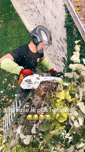 #stihl #ms151tc #taille #arboristegrimpeur #arboristelife