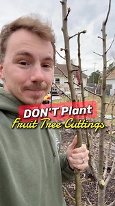 31K views · 5.1K reactions | No, I don’t plant my fruit tree...