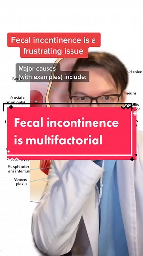 Understanding Fecal Incontinence: Causes and Solutions