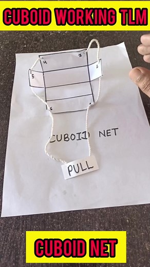 Working Cuboid Net for explaining the concept of faces,vertices,edges, curved surface area and volume of cuboid | Education Boom
