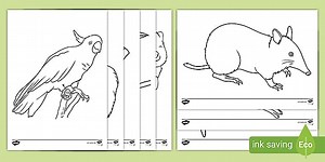 Australian Animals Colouring Sheets