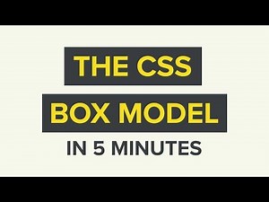 The CSS Box Model Explained in 5 Minutes!