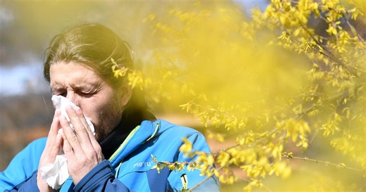 With allergy season starting earlier and lasting longer, Pittsburgh doctors share their tips