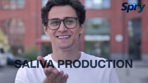 Spry Xylitol Peppermint Sugar Free Candy - Promote Oral Health, Increase Saliva Production, Stop Bad Breath, Non-GMO, Gluten-Free, 240 Count (Pack of 1)