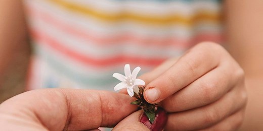 Positive Psychology Coaching vs. Life Coaching: A Comparison