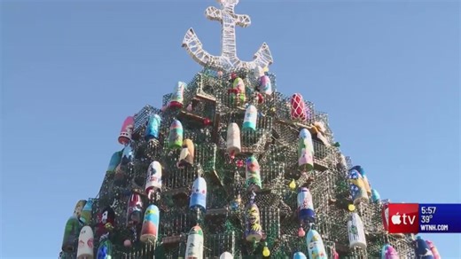 Cruisin’ Connecticut: Stonington’s crustacean-themed Christmas tree drawing nightly visitors
