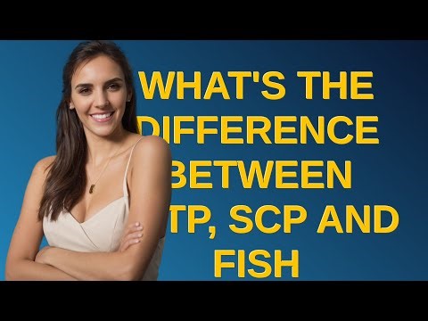 Unix: What's the difference between SFTP, SCP and FISH protocols?