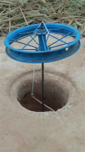 Epic Bird Captures Using Clever Homemade Traps