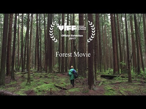 Forest Movie (2017)