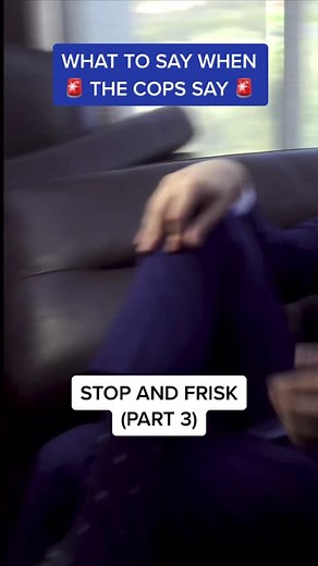 Terry Stop part 3 - pat down 🛑🚨 . . #terrystop #law #frisk #weapon #search #consent #safety #danger #patdown #contraband | Law By Mike