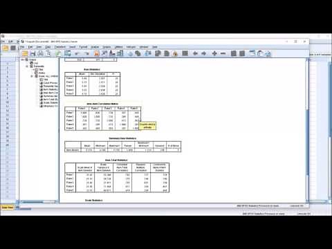Selecting Raters using the Intraclass Correlation Coefficient in SPSS